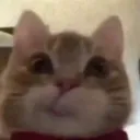 emoji_8