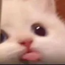 cattongue