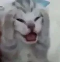 __