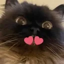cash_love