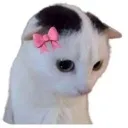 kawaiicat Discord Emoji