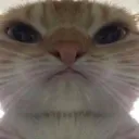 angry angry