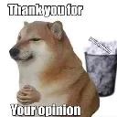 your_opinion