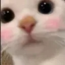 emoji_50