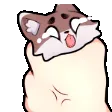 a_foxy_rage_squish