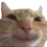 smiel