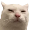 squint