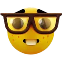 ned