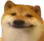 Doge