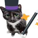 cat_wizard