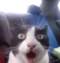 OOOOO