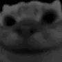 solemncatnod