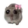 hampterpls hampterpls