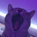 RAHHHHH