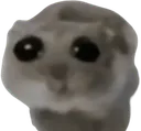 sad_hampter