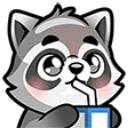 Raccoon4