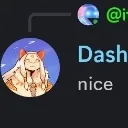 dvirusdash