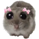 AthenaHamster