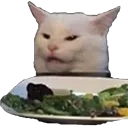 catmeh