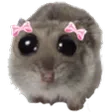 subietCute