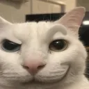 ongodcat