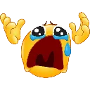 WHYYYY