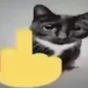 finger finger