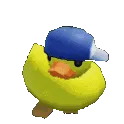 duckdance