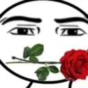 rose_4pook