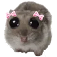 d0oppaPls