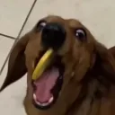 emoji_26 emoji_26