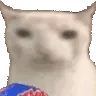 catmunch