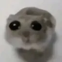 hk_chikito