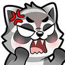 Raccoonangry