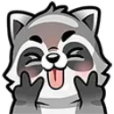 Raccoonsmile