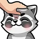 Raccoonpat