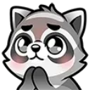 Raccoonpray