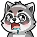 Raccoondrool