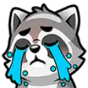 Raccooncry