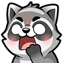 RaccoonYes