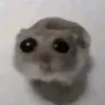 cri