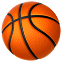 zz_BasketballAccolade