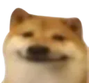 doge doge