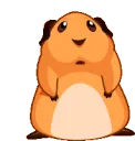 no