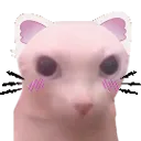bingusNOEARSwithears