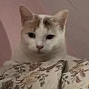 Pokerface PokerFace Discord Emoji