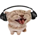 000cat