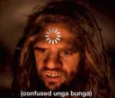 confusedunga