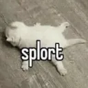splort