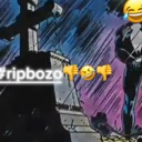 ripbozzo